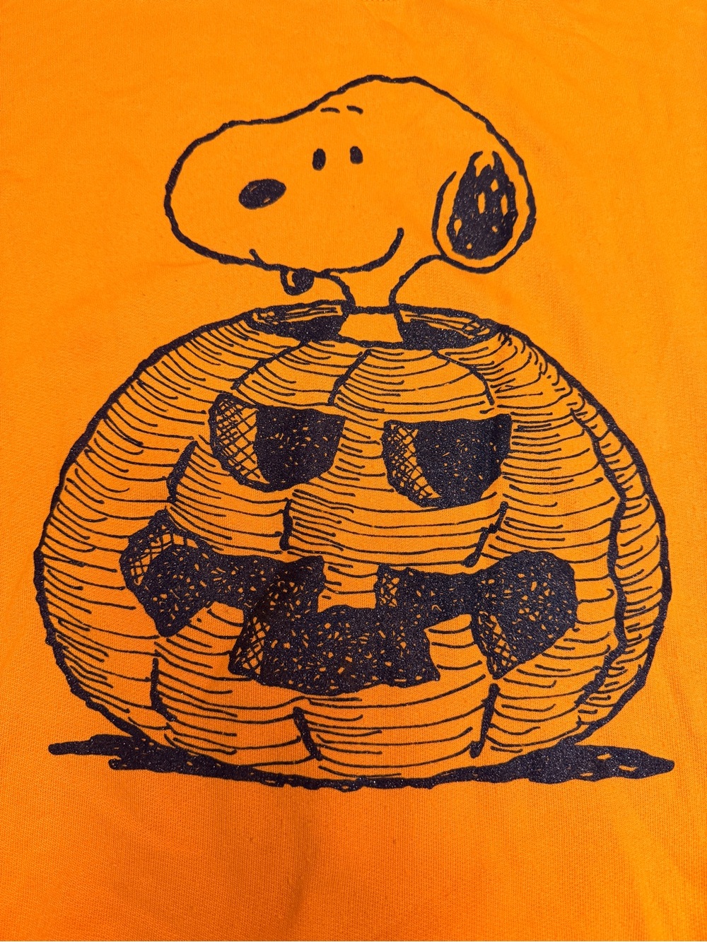 Peanuts Snoopy Jack O Lantern Pumpkin Fall Pullover Crewneck Sweatshirt XXL Wome